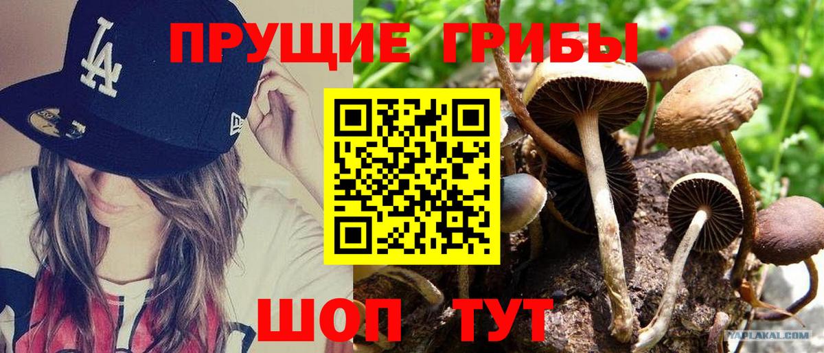 Отрадный  Псилоцибиновые грибы прущие грибы  Вход с VPN  Псилоцибиновые грибы ЛСД 
